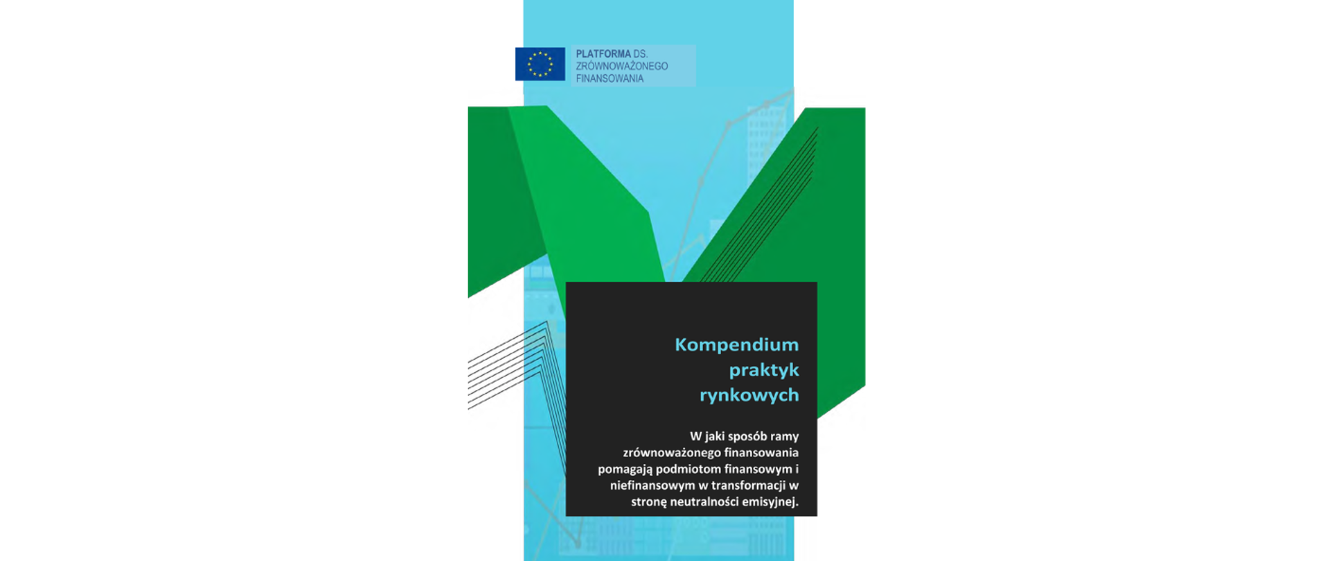 Zdjęcie przedstawia okładkę dokumentu na której znajduje się tytuł, logo Platformy ds. Zrównoważonego Finansowania oraz wizualne elementy graficzne tworzące tło.