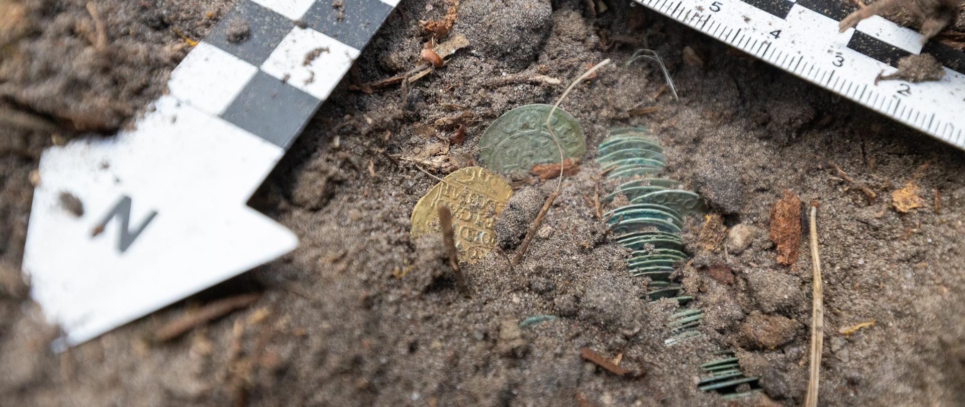 XVII-wieczny skarb odnaleziony w sercu Puszczy Knyszyńskiej