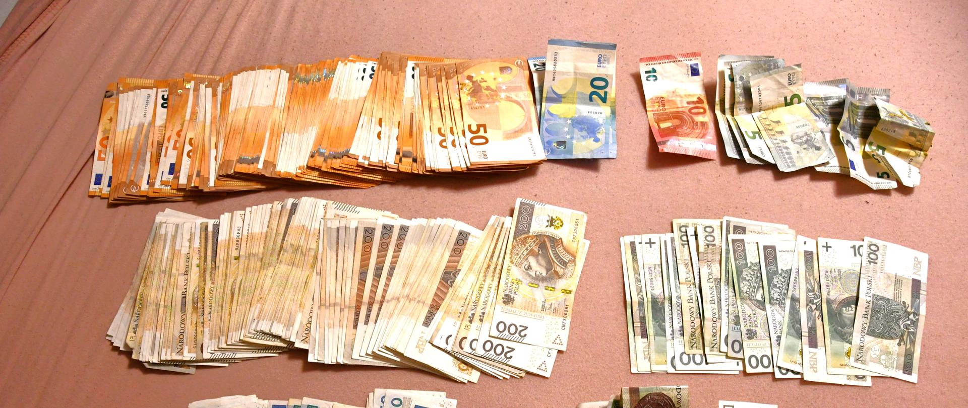 Zbliżenie na banknoty w złotówkach i euro.