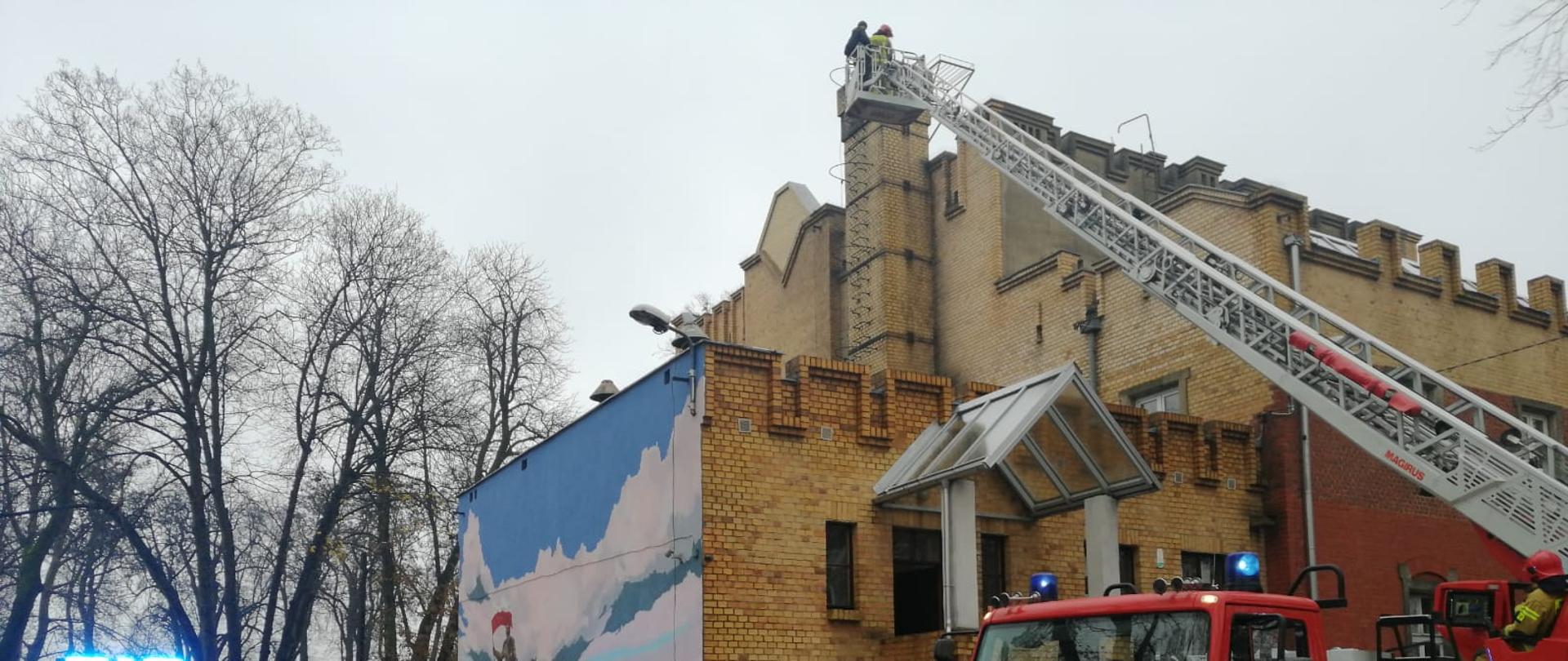 Rozstawiona drabina przy budynku z wysuniętym wysięgnikiem. Obok osoby cywilne i samochody strażackie.