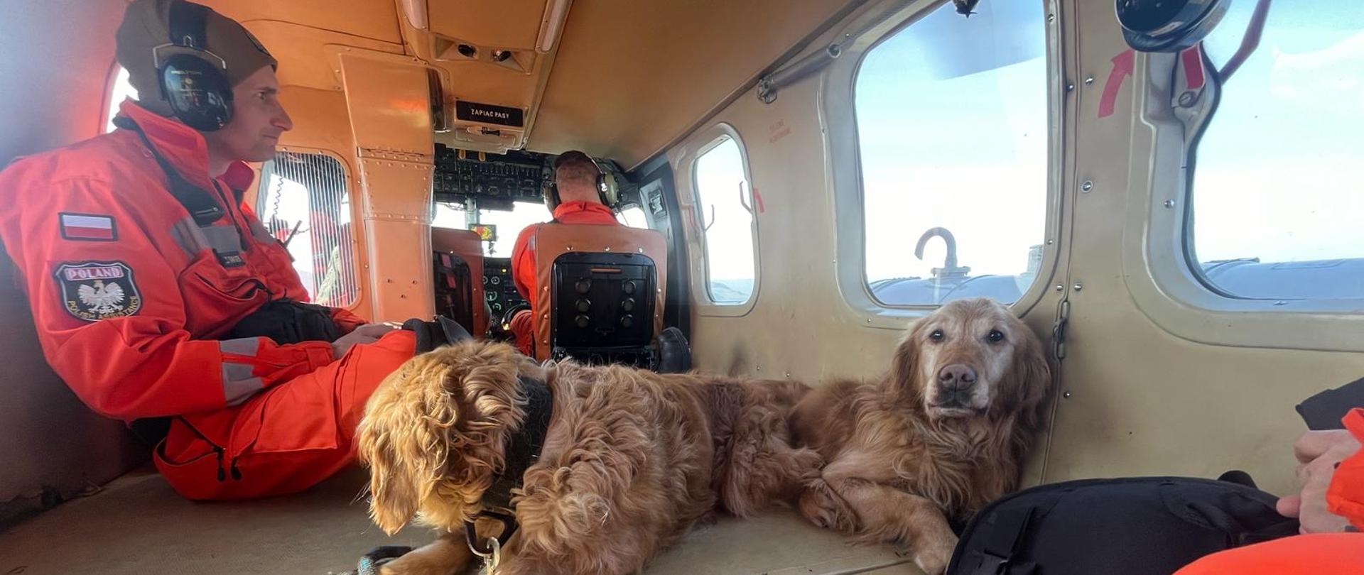 Przewodnicy oraz psy w śmiglowcu