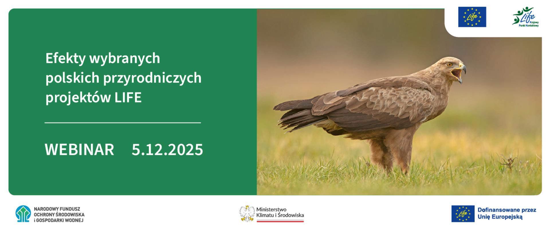 Grafika ilustracyjna. Webinar 5.12.2025. Efekty wybranych polskich przyrodniczych projektów LIFE.