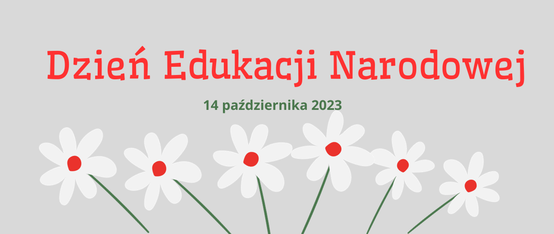 Baner na Dzień Edukacji Narodowej - napis czerwony i zielona data grafika z białoczerwonymi kwiatami na szarym tle.