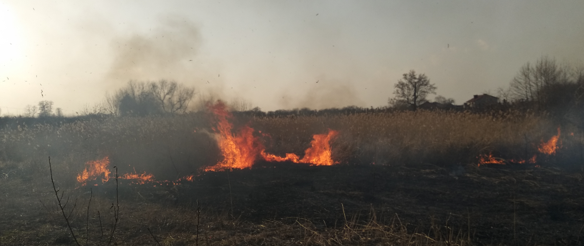 zdjęcie zrobione w dzień. Na zdjęciu widać palącą się trawę na nieużytkach. Na zdjęciu widać ogień i dym. 