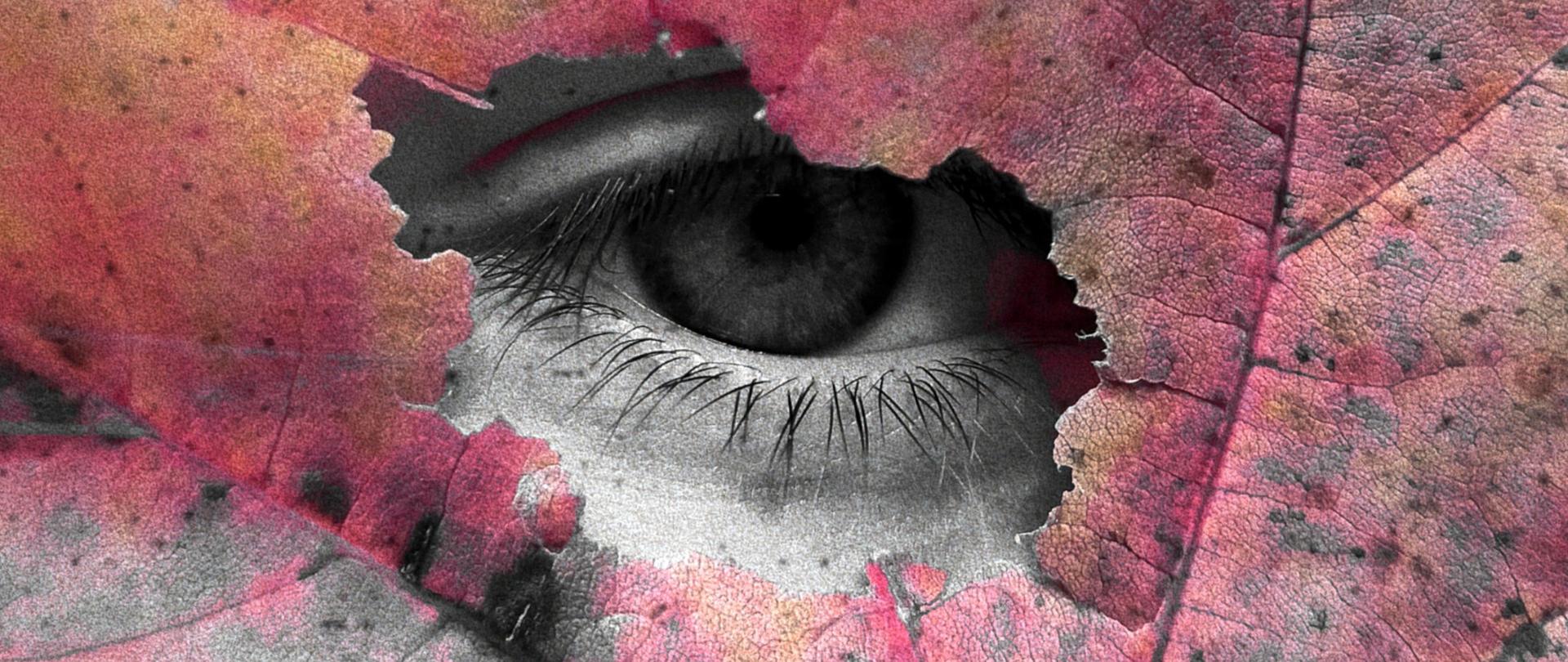 Zdjęcie dużego liścia wypełniającego cały kadr. W środku liścia jest dziura w której widoczne jest oko. Liść jest w odcieniach
czerwonych, żółtych i szarych, natomiast oko jest w odcieniach szarości. 