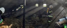 Pożar budynku gospodarczego w Nożyczynie