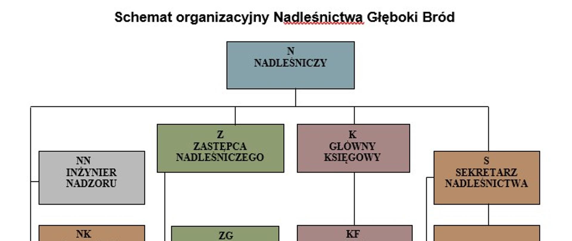 Schemat organizacyjny Nadleśnictwa Głęboki Bród