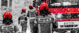 Na zdjęciu widać czterech strażaków stojących plecami do osoby robiącej zdjęcie. W tle po prawej stronie widać pojazd strażacki koloru czerwonego. Zdjęcie wykonane w dzień. 