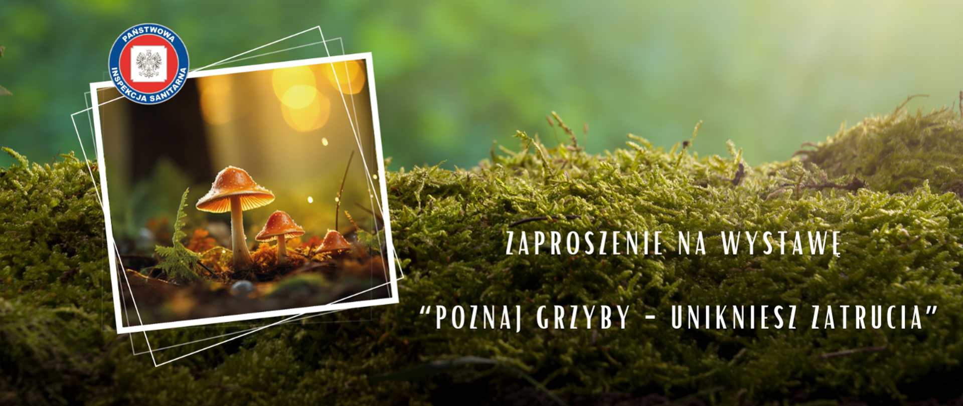 Zdjęcia runa leśnego z grzybami. Na jego tle napis: Zaproszenie na wystawę Poznaj grzyby Unikniesz zatrucia. 