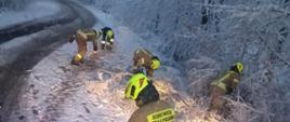 Zdjęcie przedstawia kilku strażaków podczas usuwania skutków intensywnych opadów śniegu i silnego wiatru.