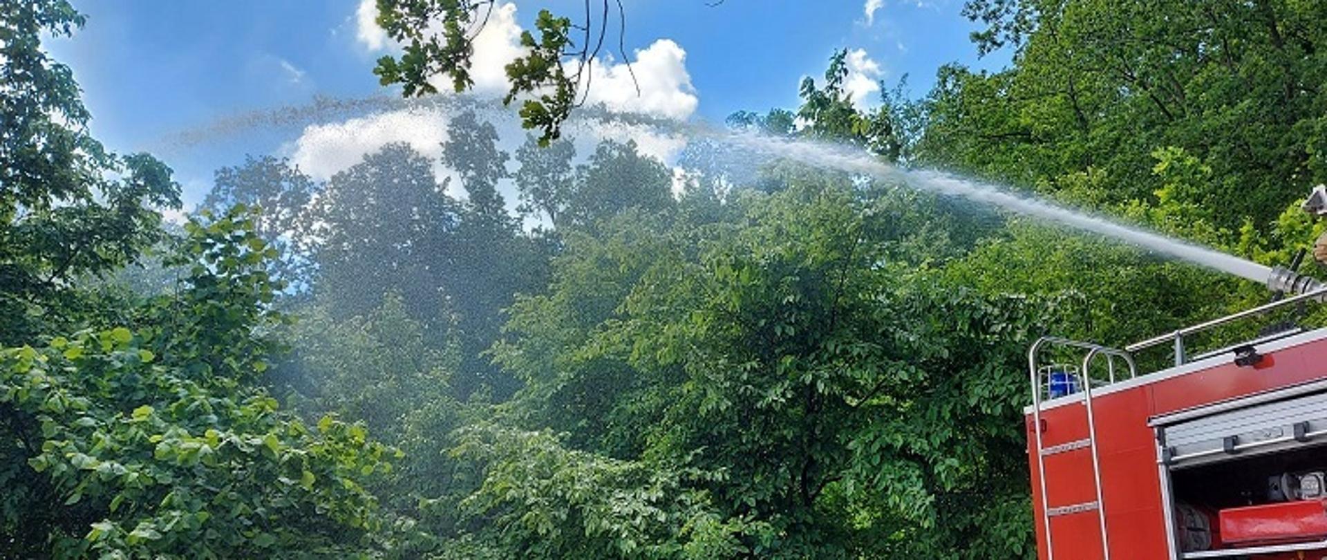 Zdjęcie przedstawia podanie prądu gaśniczego na teren leśny