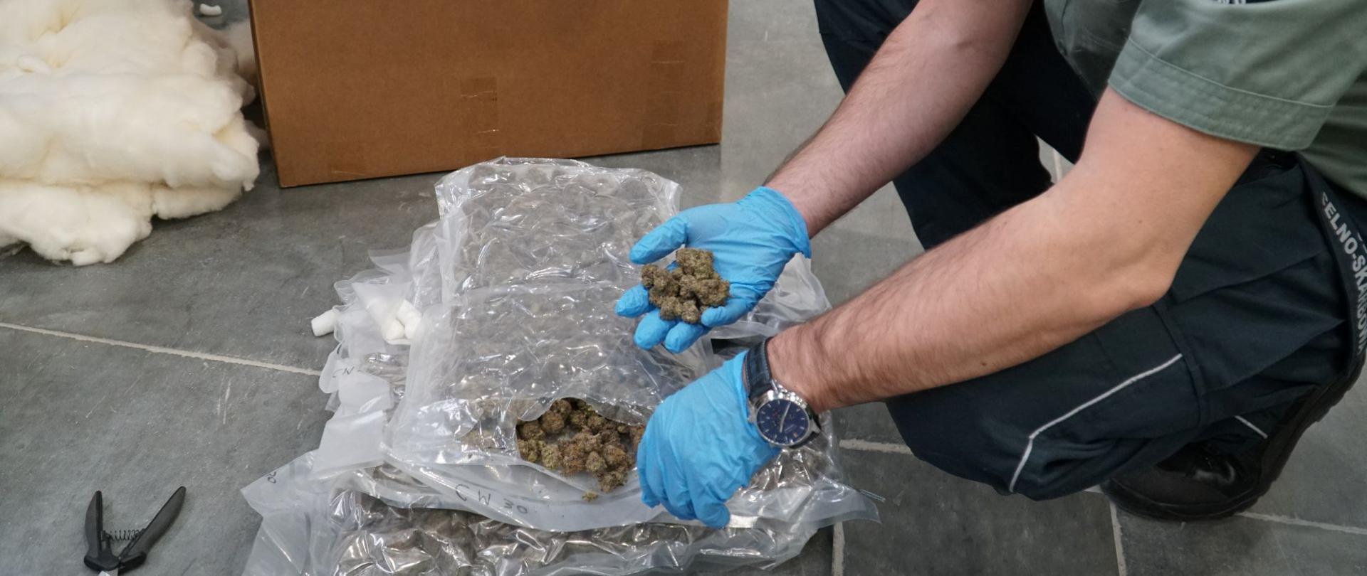 Funkcjonariusz w rękawicach ochronnych sprawdza susz roślinny, umieszczony w foliowych opakowaniach na podłodze hali magazynowej.