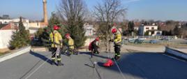 Zdjęcie wykonane w ciągu dnia. Ratownicy ubrani w ubrania specjalne. Wykonują czynności związane z ratownictwem wysokościowym