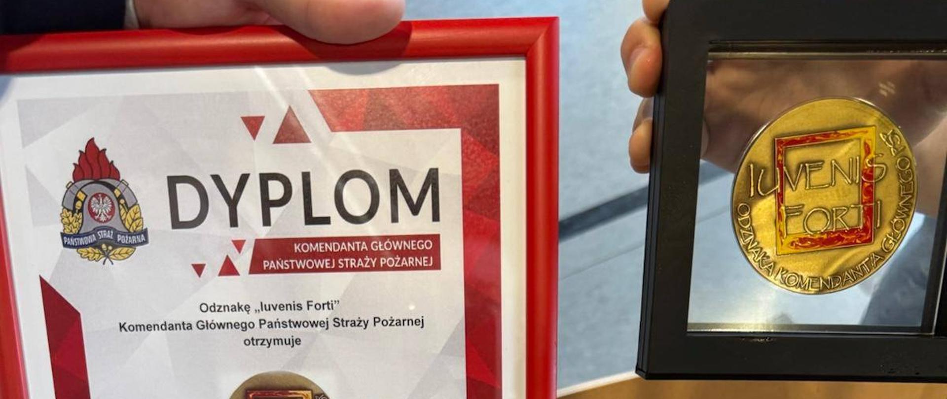 uroczystość wręczenia odznaczenia Iuvenis Forti