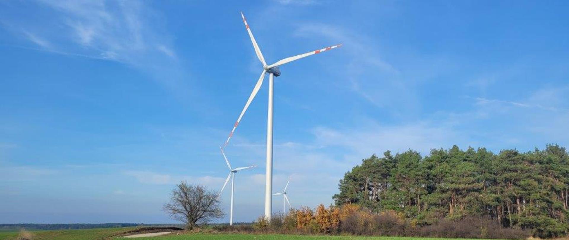 Trzy wiatraki na tle błękitnego nieba. Po prawej stronie drzewa i krzewy. U dołu żwirowa ścieżka.
