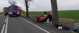 Zdjęcie przedstawia samochody strażackie na drodze wojewódzkiej nr 178 i samochód osobowy po uderzeniu w drzewo