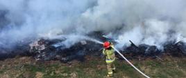Na zdjęciu widać rozciągniętą linię gaśniczą oraz strażaka w ubraniu specjalnym który gasi pożar trawy. Ma On na głowie hełm w kolorze czerwonym a na plecach napis "Państwowa Straż Pożarna". Resztę zdjęcia pokrywa gęsty biały dym.