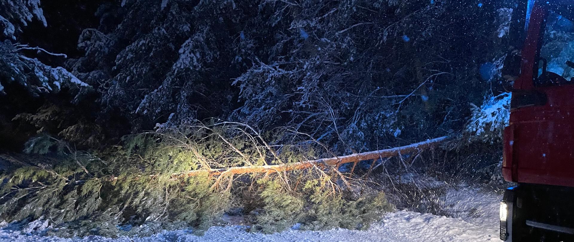 Powalone drzewo na drodze