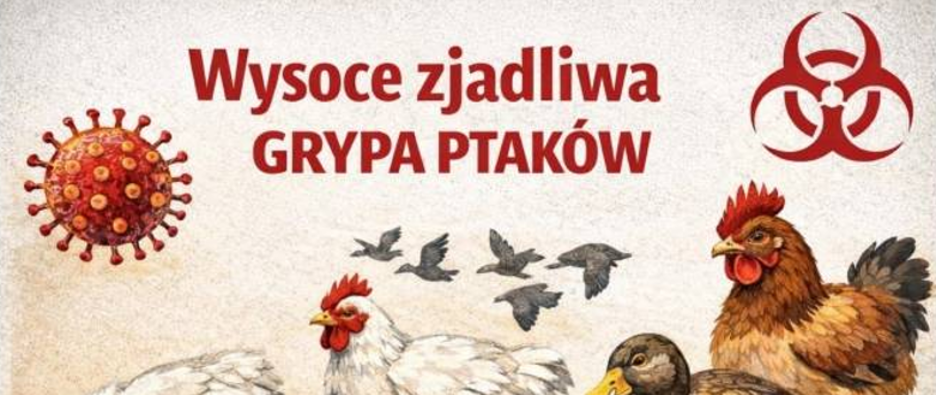 Informacja Powiatowego Lekarza Weterynarii