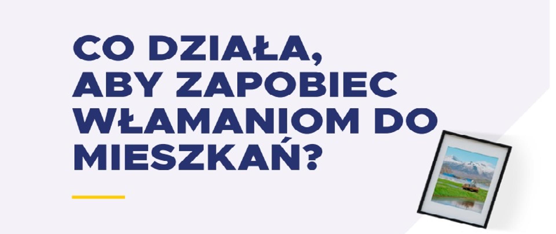 Europejski Dzień Przeciwdziałania Włamaniom