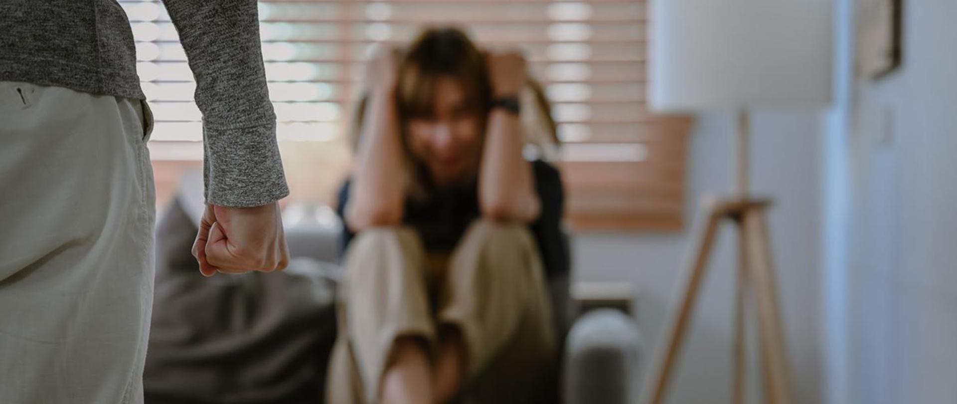 More protection against domestic violence. The Act adopted by the Sejm