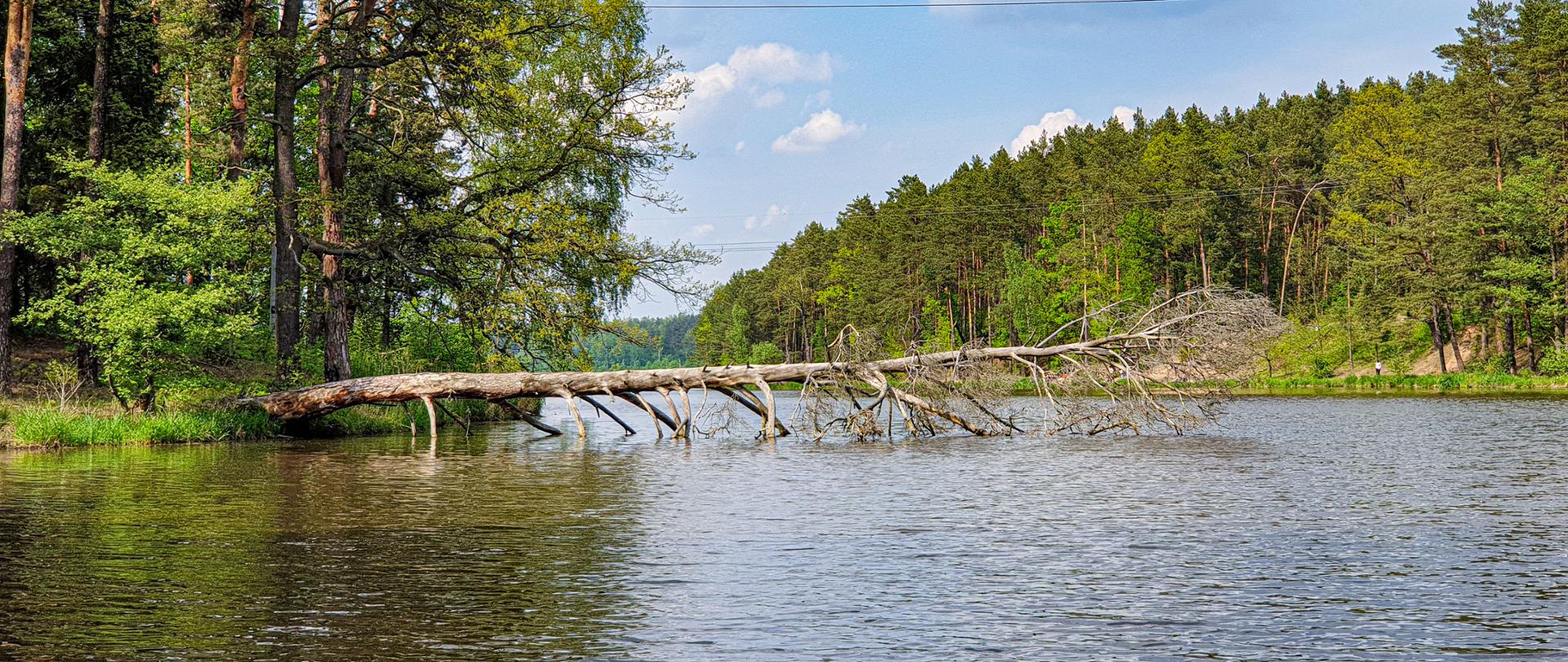 Zbiornik Wodny Rejów - zdjęcie poglądowe