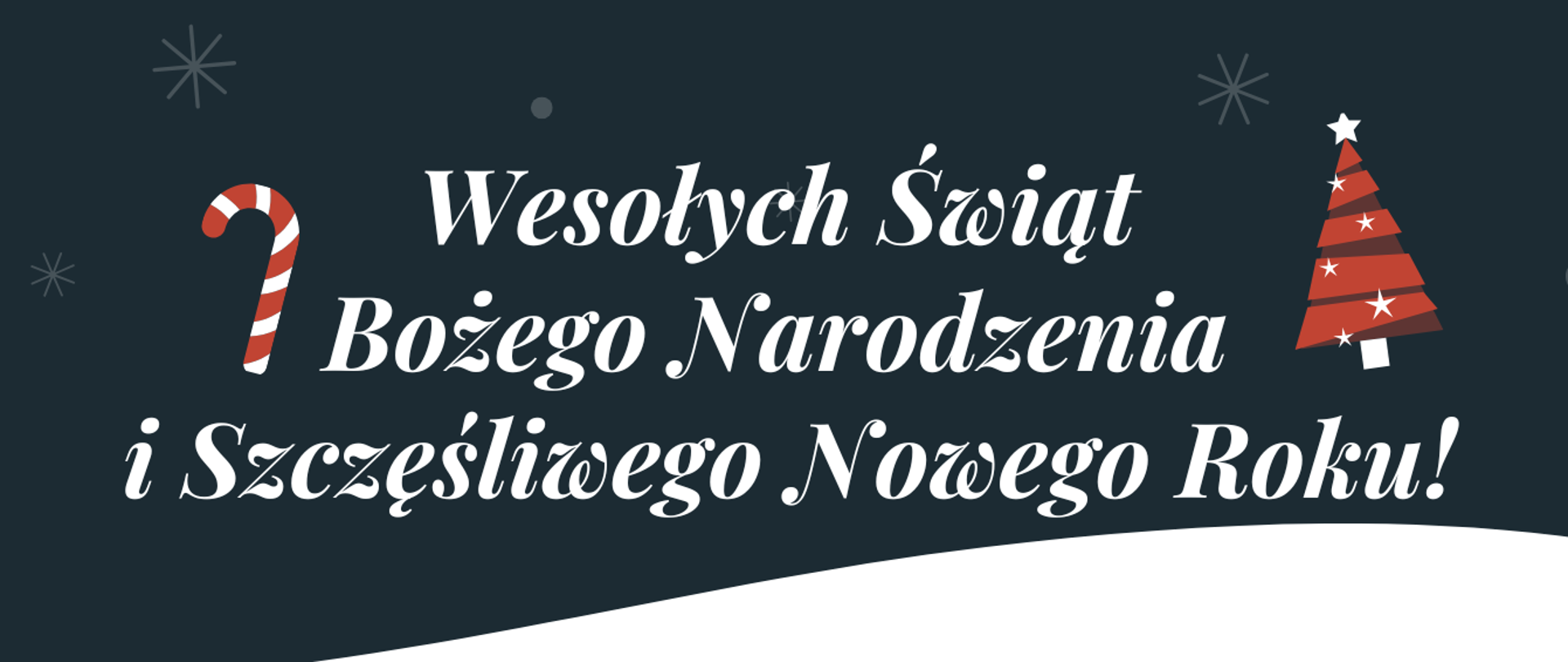 Zdjęcie przedstawia na ciemnoniebieskim tle napis: Wesołych Świąt Bożego Narodzenia i Szczęśliwego Nowego Roku