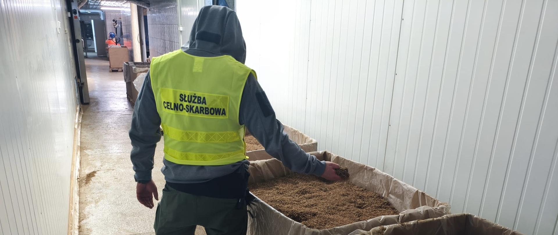 Funkcjonariusz Służby Celno-Skarbowej trzyma tytoń, w tle kartony z tytoniem (źródło: DUCS)