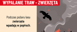 Wypalanie traw i pozostałości roślinnych – niemy zabójca przyrody i zagrożenie dla ludzi