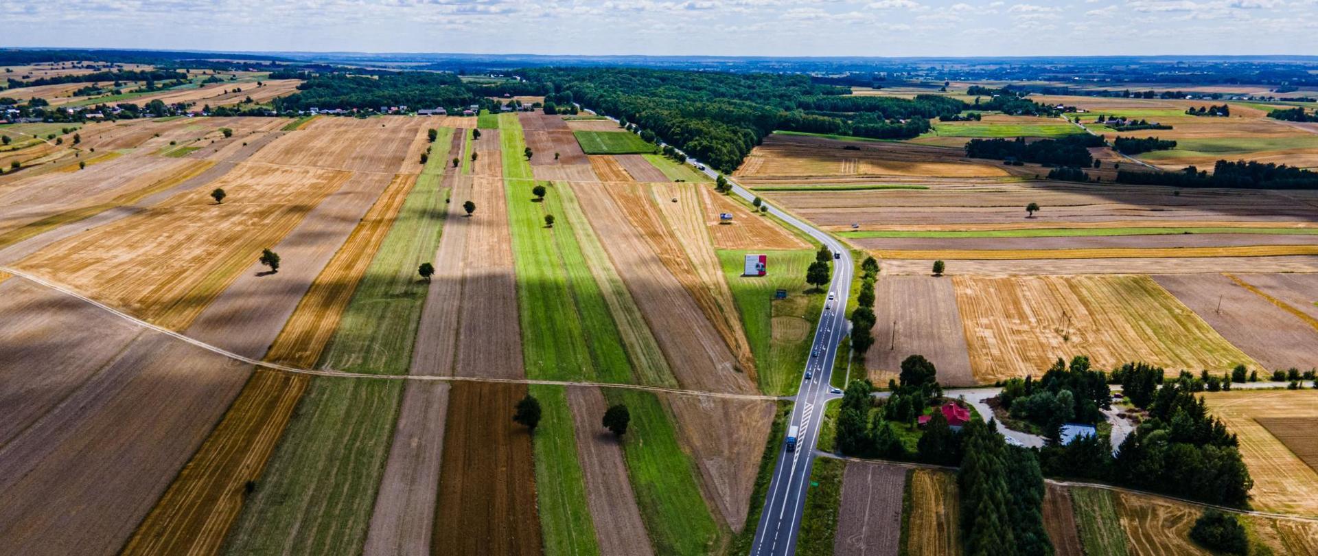 DK17 w okolicach Izbicy