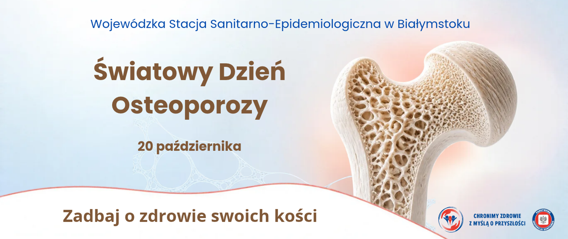 Po prawej stronie znajduje się duża ilustracja kości o widocznej porowatej strukturze wewnętrznej, symbolizującej osteoporozę. Po lewej stronie umieszczono napisy: „Światowy Dzień Osteoporozy”, „20 października” oraz hasło „Zadbaj o zdrowie swoich kości”. Tło utrzymane jest w jasnych odcieniach błękitu i beżu, z delikatnym motywem sieci przypominającej strukturę kostną. W dolnej części znajdują się logotypy kampanii „Chronimy Zdrowie z Myślą o Przyszłości” oraz Państwowej Inspekcji Sanitarnej.