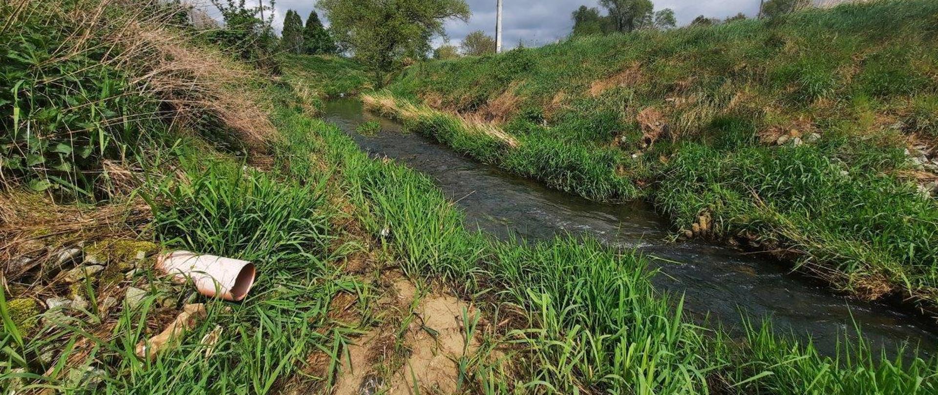 Kontrola nielegalnych wylotów.