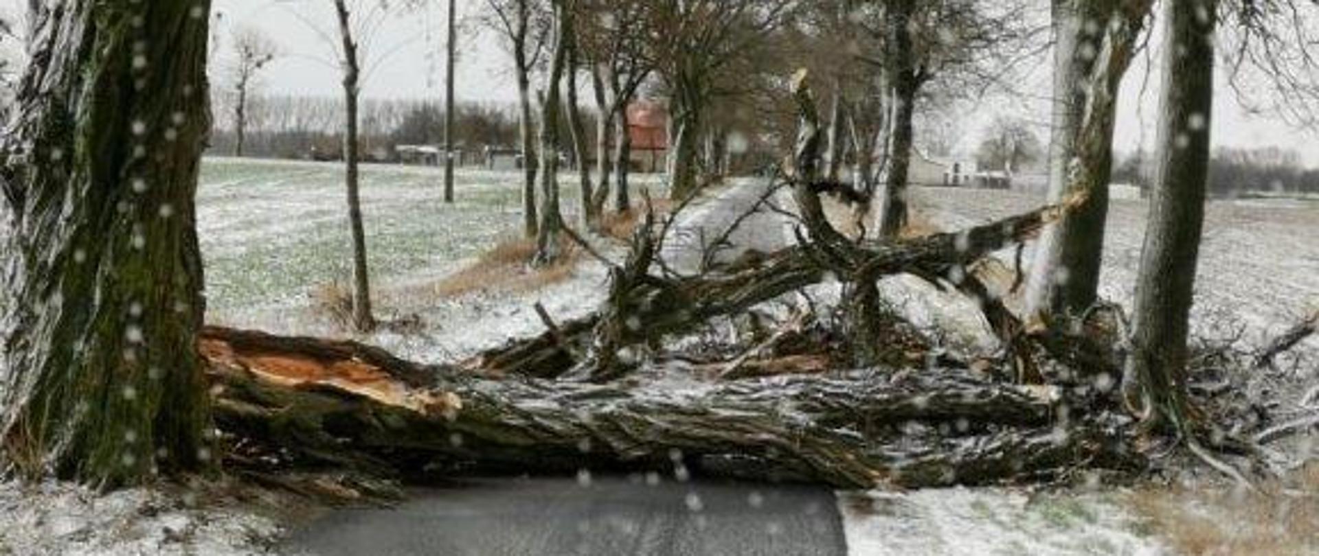 Nawałnica styczeń 2022