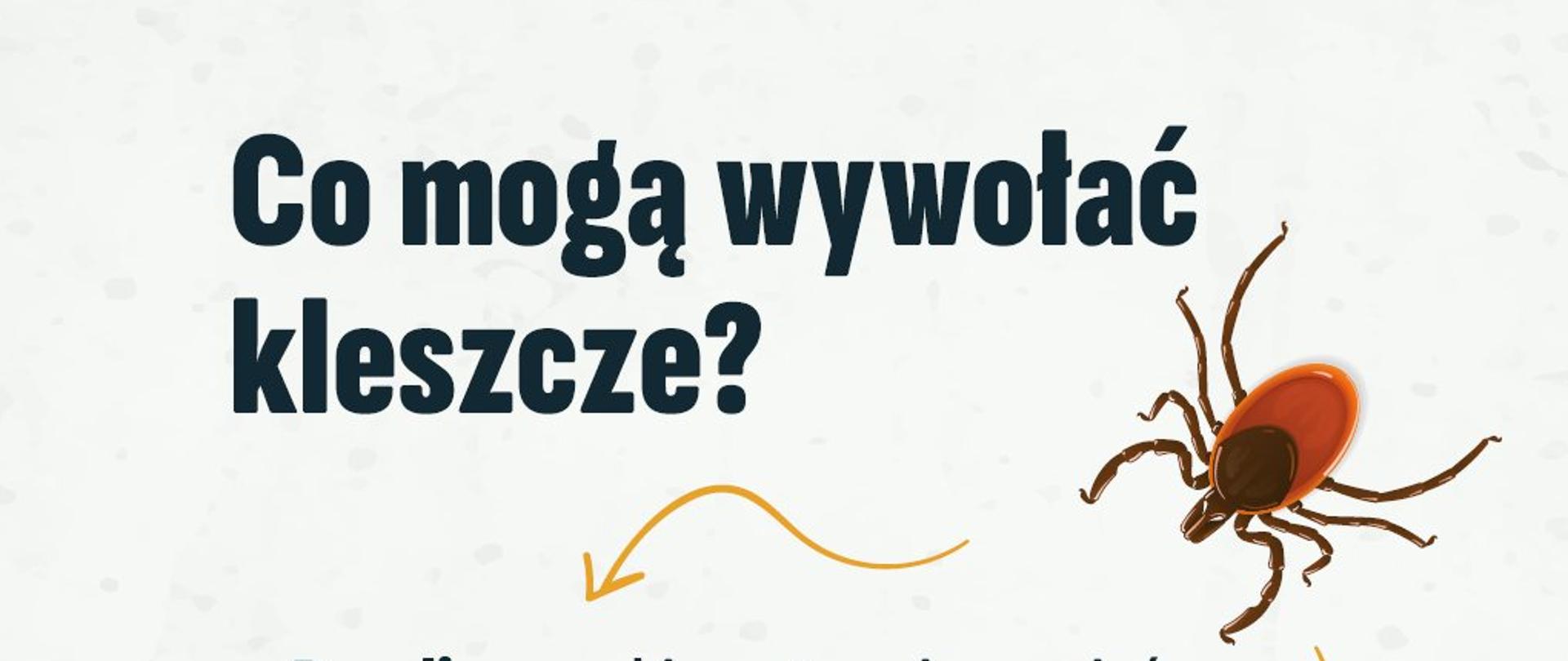 Znalazłeś kleszcza