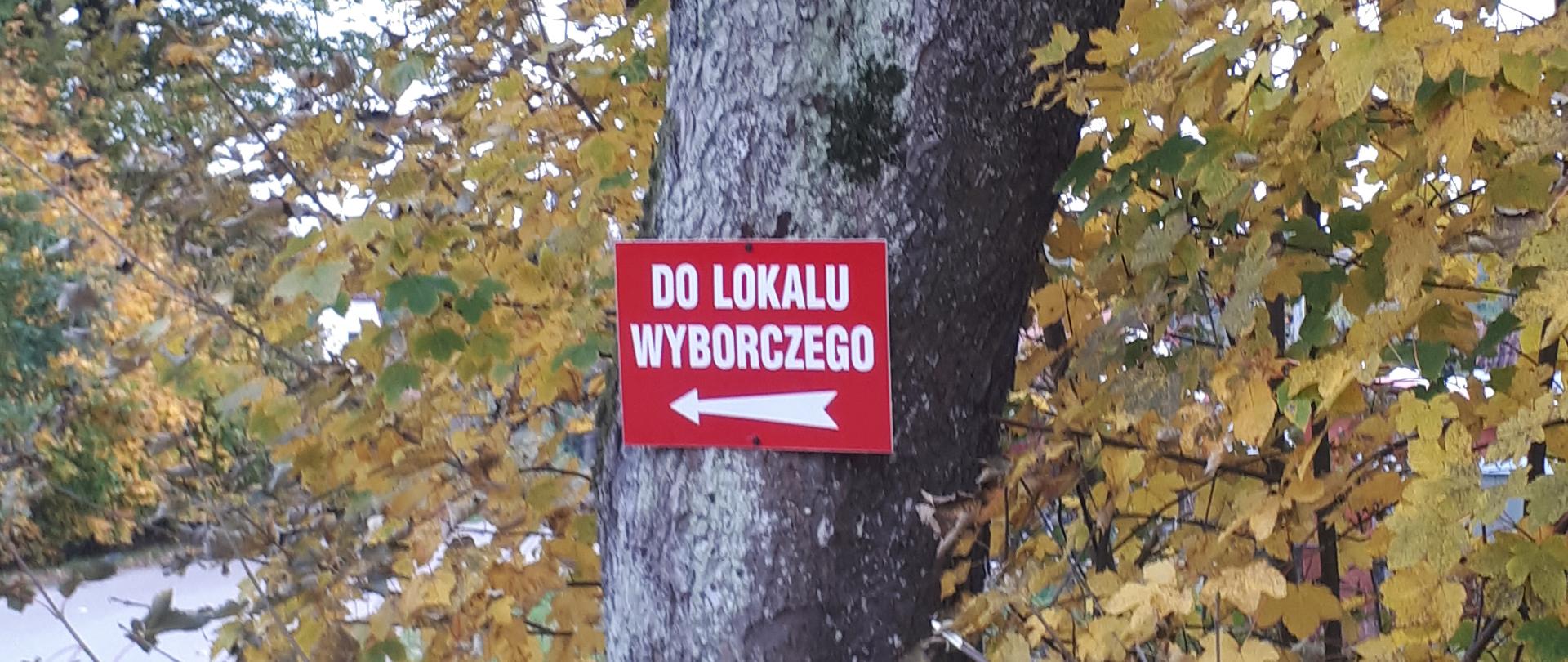 Drogowskaz do lokalu wyborczego
