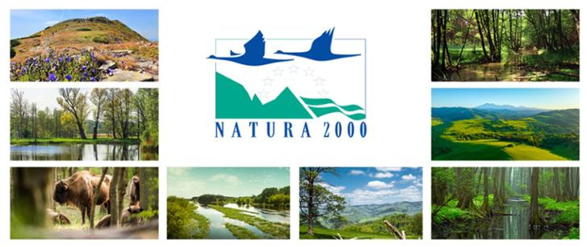 W centralnym miejscu logo Natura 2000 (dwa ptaki lecące nad górami). Dookoła zdjęcia obszarów Natura 2000 w Polsce, m.in. żubry, mokradła, góry, las.