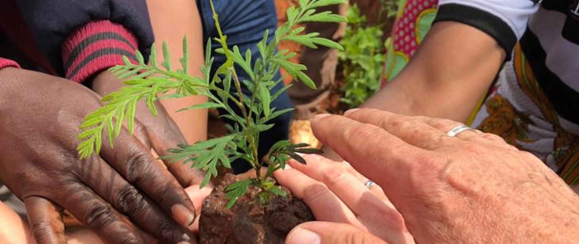 Livelihoods improvements through integrated and environmental friendly employment development in South Kenya