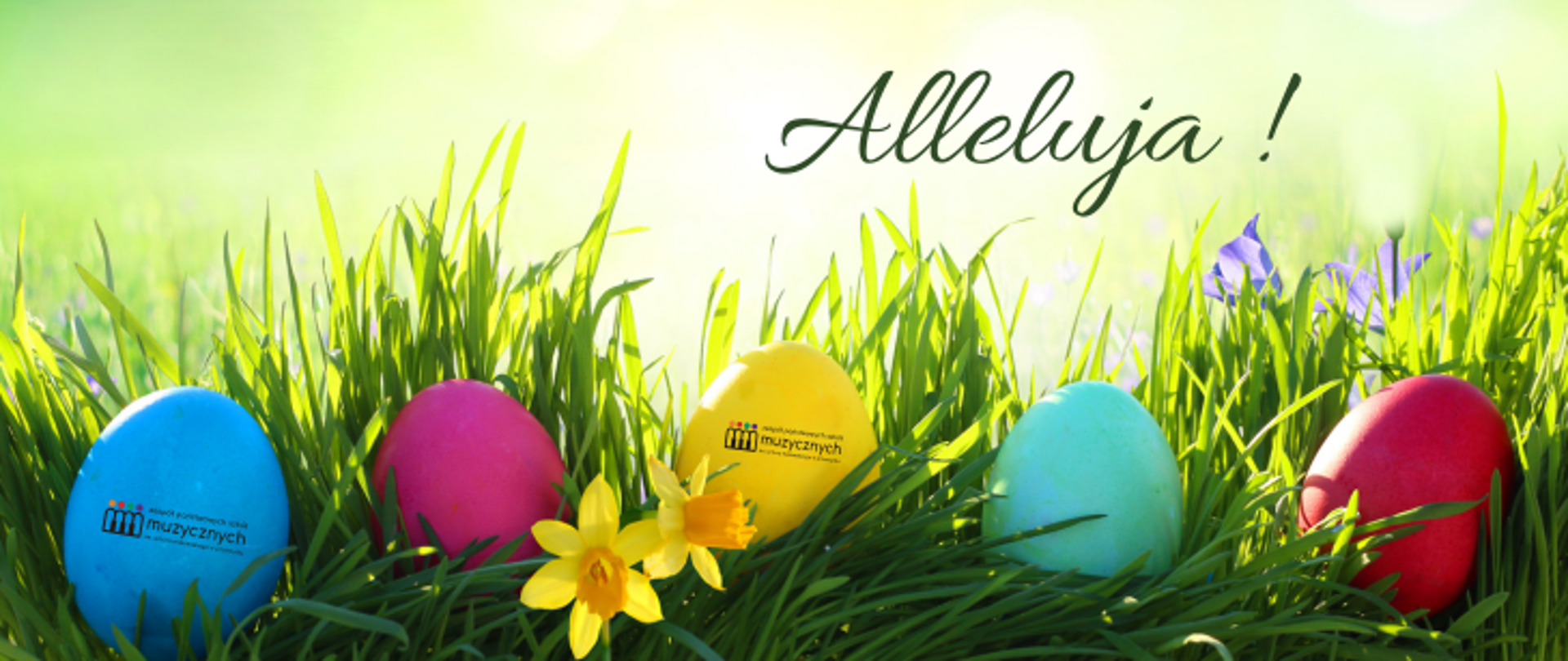 grafika świąteczna: w trawie 5 pisanek kolorowych w tym dwie z logo szkoły, nad pisankami napis: Alleluja !