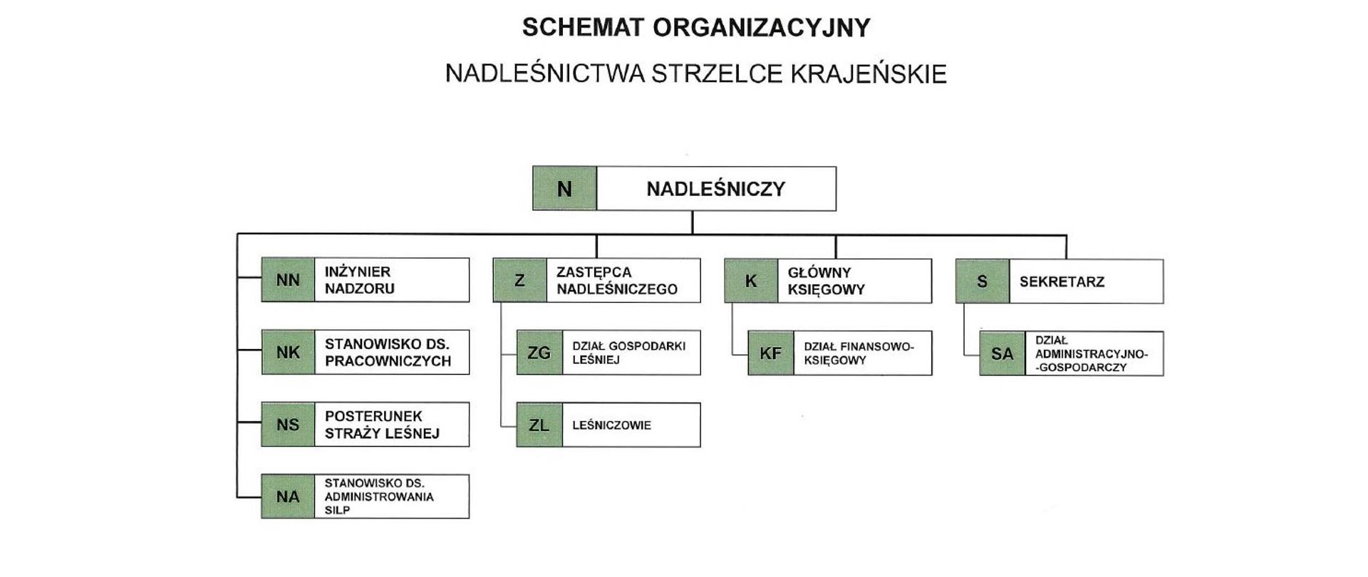 Schemat organizacyjny Nadleśnictwa Strzelce Krajeńskie