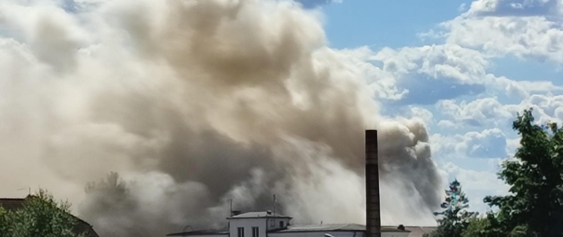 Dzień. Widoka z daleka na budynek w kolorze białym z dużą ilości okien w elewacji. Obok budynku widać wysoki ceglany komin. Nad budynkiem unoś się duża ilość biało szarego dymu. Z prawej i lewej strony widać drzewa.