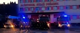 Strażacy oddali hołd tragicznie zmarłym strażakom z Niska