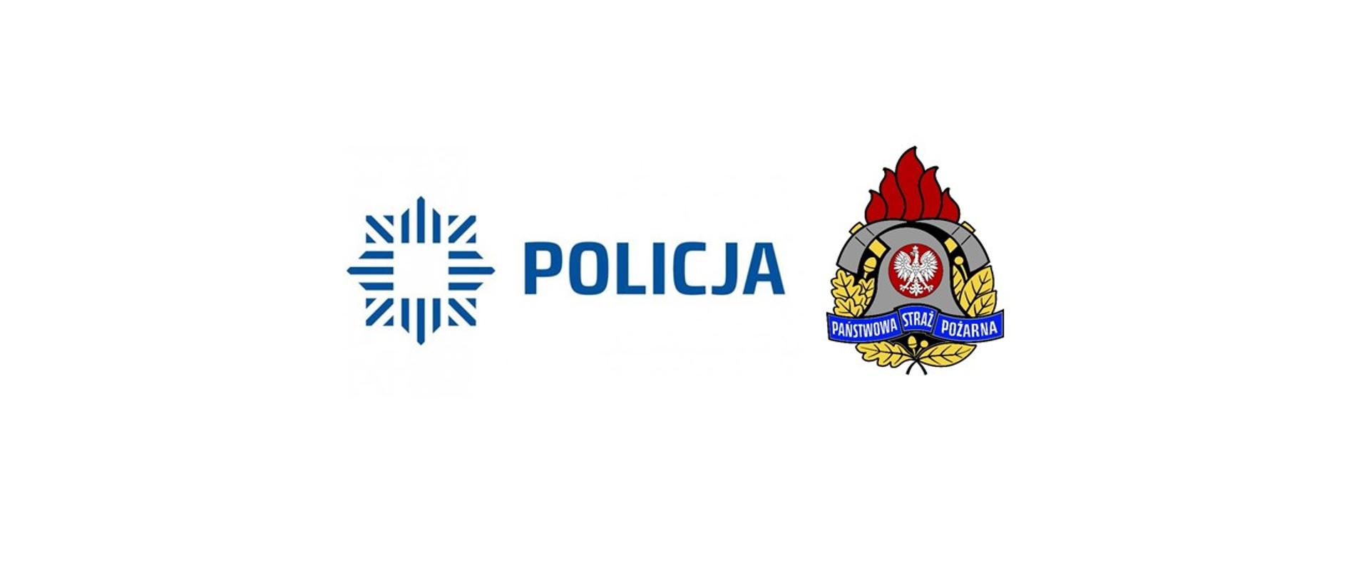 Logo PSP Policja
