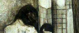 Praca rysunkowa przedstawia odwróconą plecami, półnagą postać, stojącą przed lustrem w zniszczonej łazience. Odbicie w lustrze ukazuje tą samą postać, której twarz nie posiada oczu, ust i nosa. 