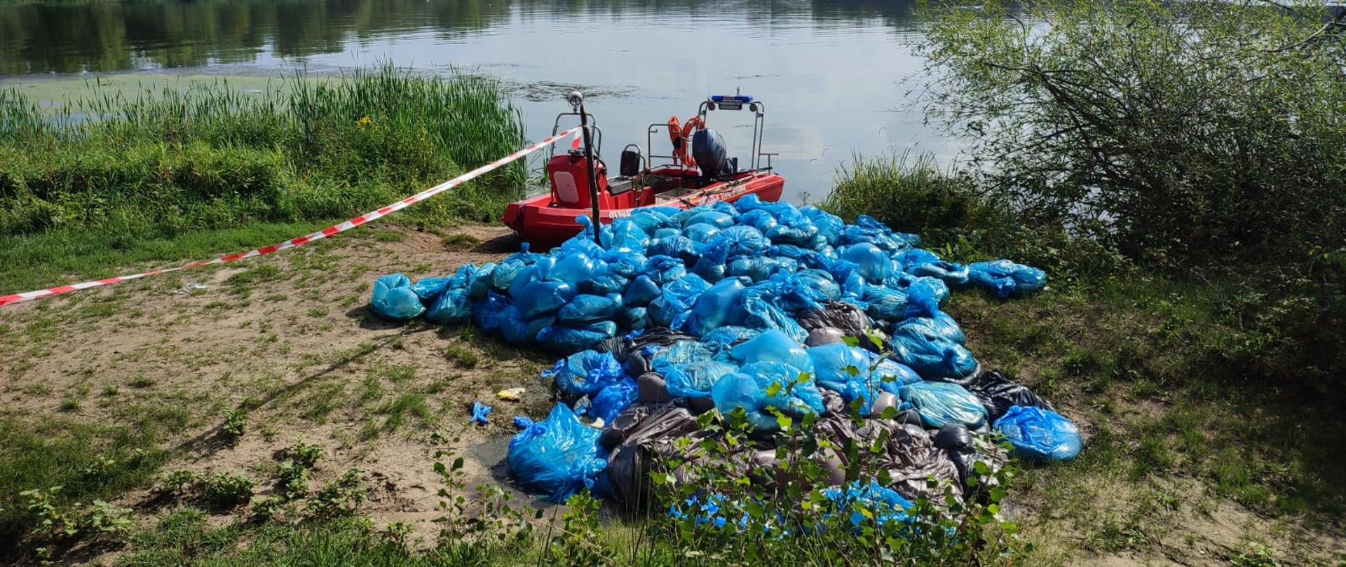 Dzierżoniowscy strażacy zaangażowani w działania przy usuwaniu śniętych ryb