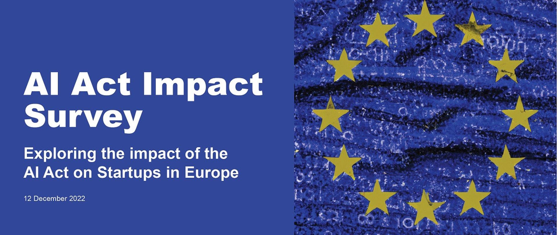 AI Act Impact Survey