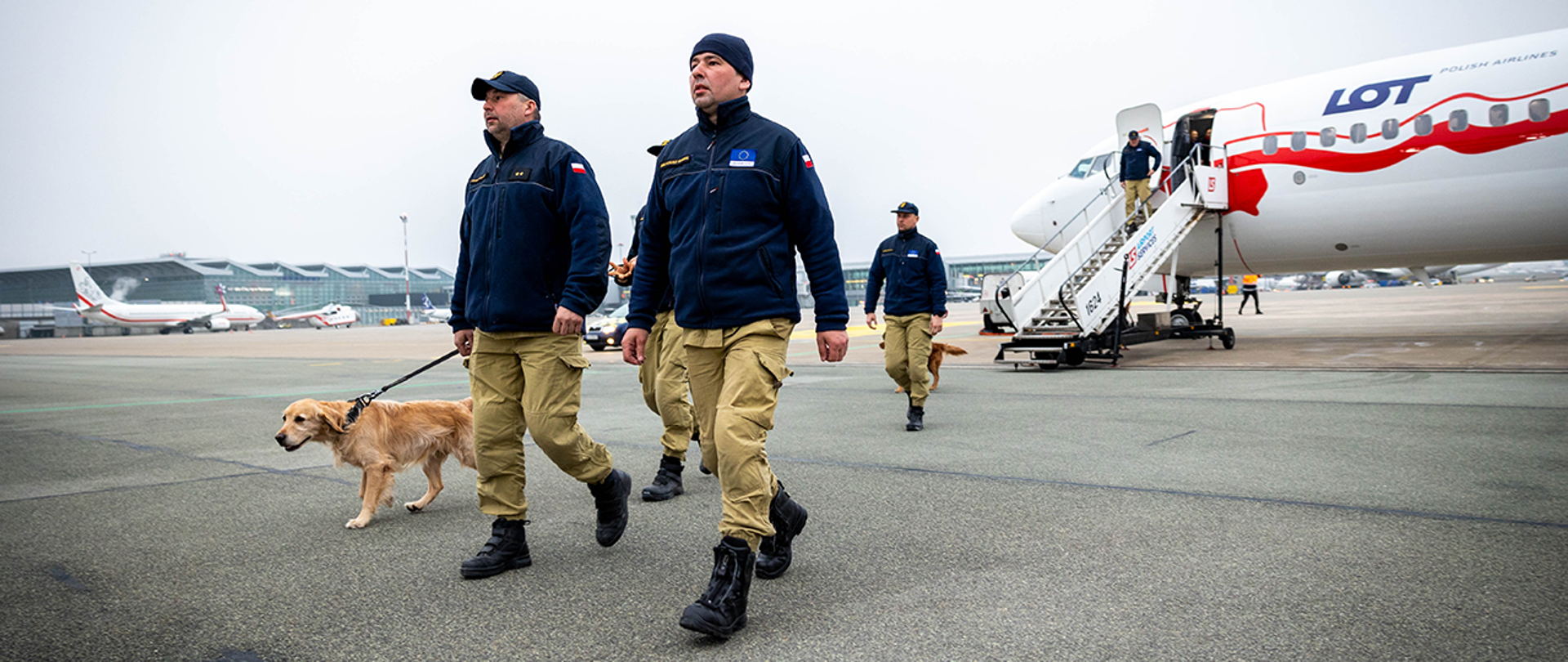 Strażacy wysiadający z samolotu z psami ratowniczymi
