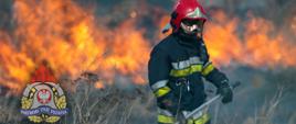 Na zdjęciu strażak ubrany w ciemny ubiór specjalny i w czerwonym hełmie trzymający tłumicę. W tle płomienie wypalanej trawy