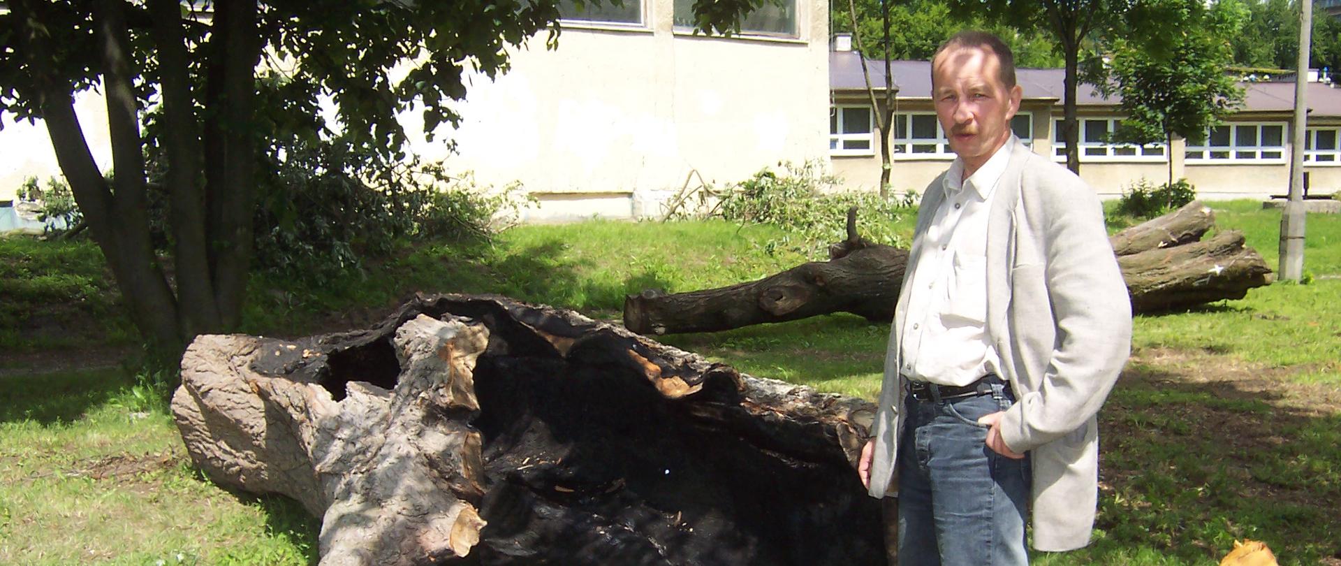 Na zdjęciu widać mężczyznę (W. Arbaczewski) stojącego na zewnątrz, obok ogromnego, wydrążonego i najprawdopodobniej spalonego od środka pnia drzewa leżącego na trawie. Mężczyzna ubrany jest w jasną koszulę, szarą marynarkę i dżinsy. W tle widać budynek z wieloma oknami oraz inne drzewa i fragmenty powalonego drewna. Słoneczna pogoda i zieleń wokół sugerują wiosenną lub letnią porę roku.
