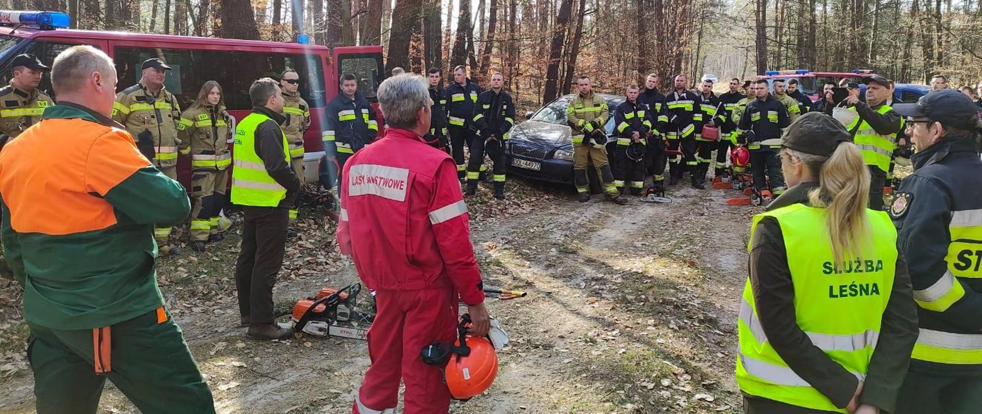Szkolenie z obsługi pilarek - na zdjęciu widać uczestników oraz prowadzących szkolenie. Szkolenie odbyło się w lesie. 