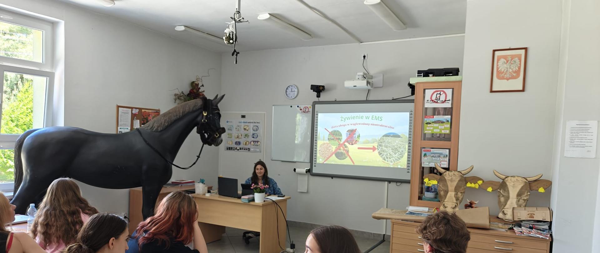 Uczniowie rozwiązują zadanie praktyczne z hodowli koni